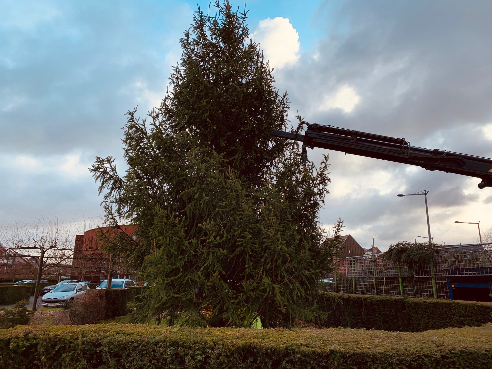 Drie grote kerstbomen sieren straks de Ninoofse pleinen
