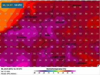 Tips om de hondsdagen min of meer goed door te komen