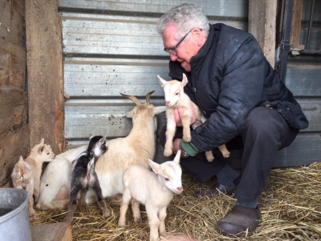 Vierling kondigt de lente aan