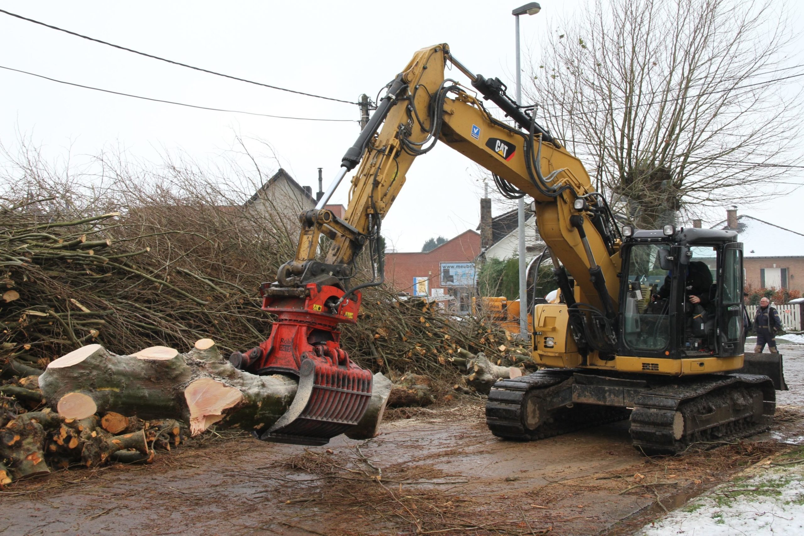 Bomen maken plaats voor voetpad