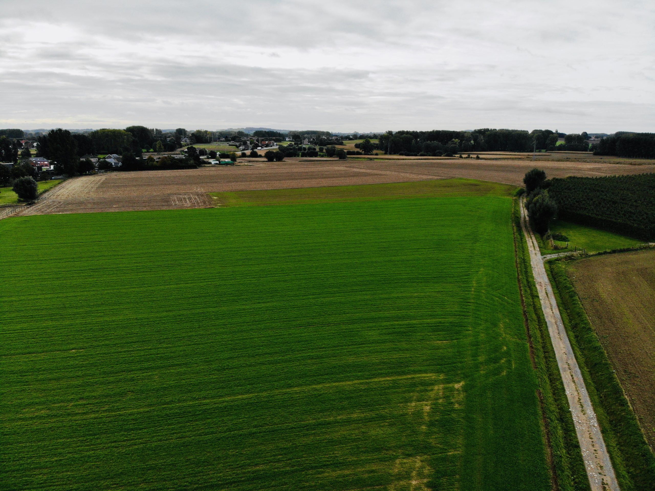 Ninove gaat in zee met Ecopower en Denderstroom voor 4 windturbines