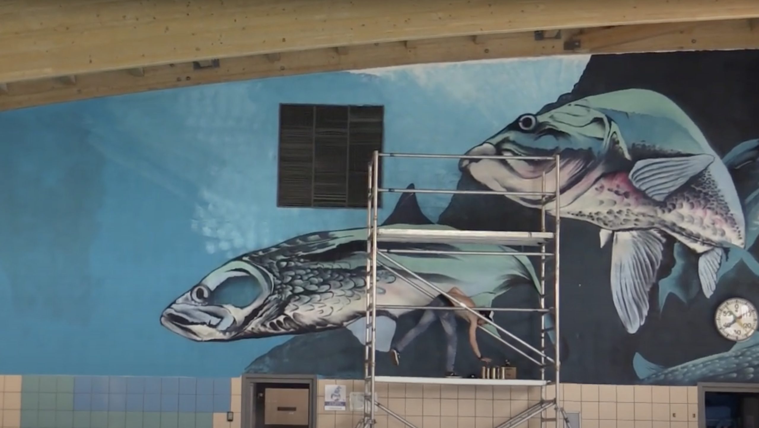 Thomas Maris, in opmars met zijn artistieke pareltjes