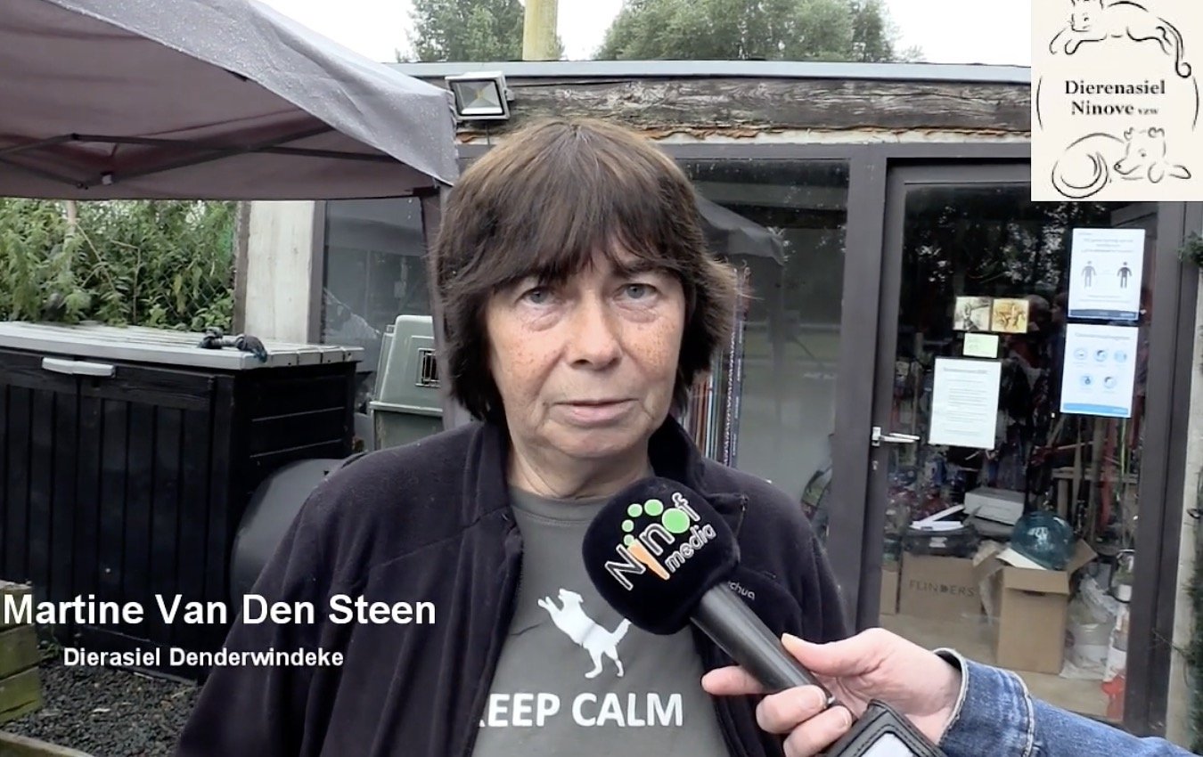 Niels Hemmeryckx start broodnodige crowdfunding voor dierenasiel