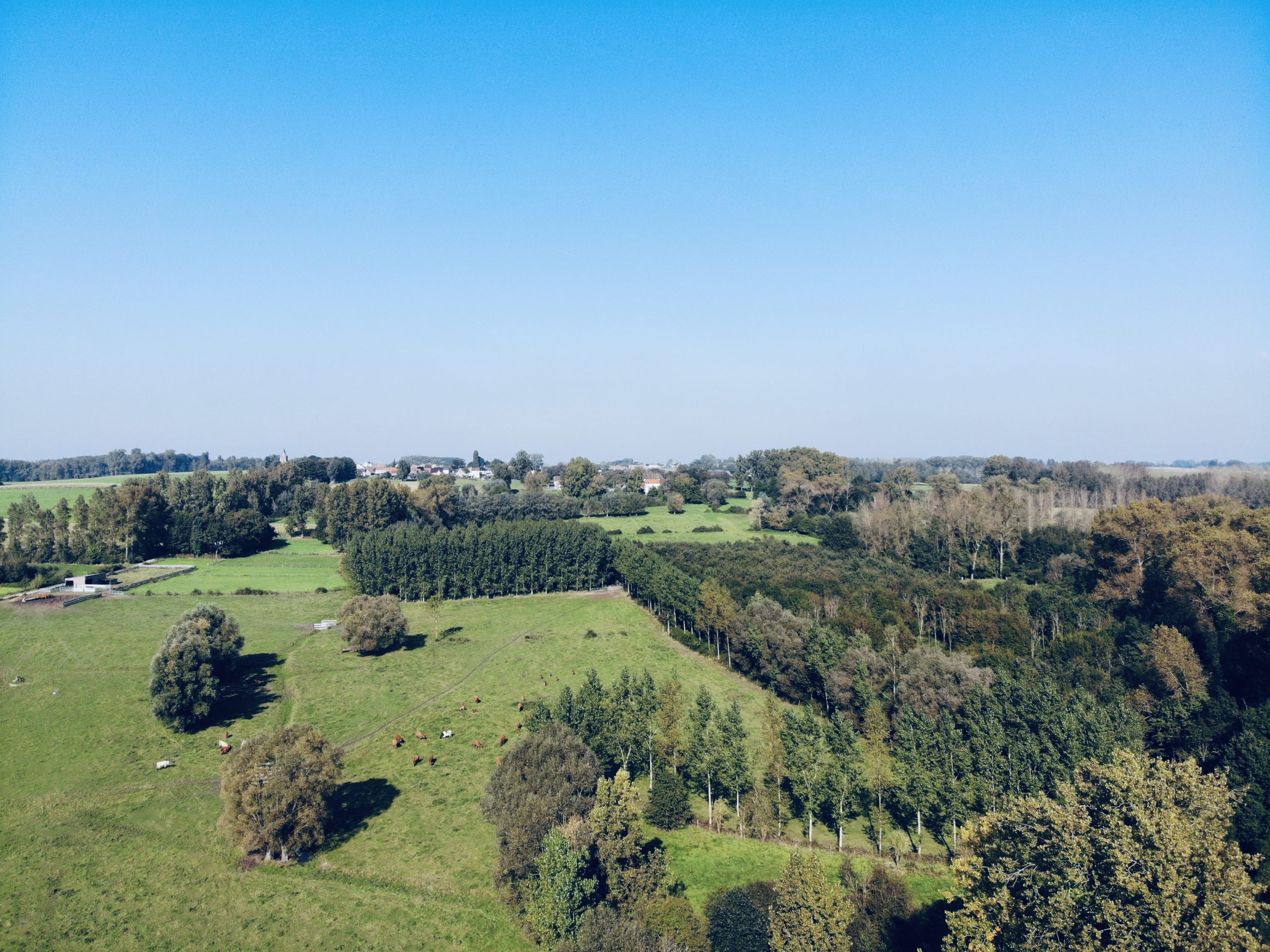 Natuurpunt Ninove realiseert grootste Vlaamse bosuitbreiding