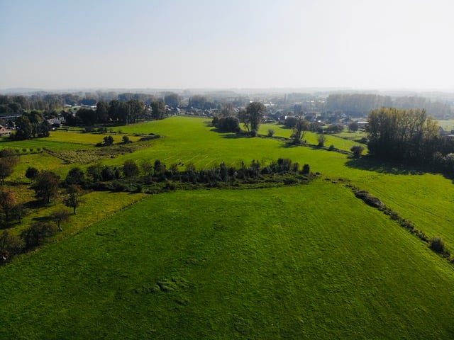 Natuurpunt plant bomen tijdens startdag