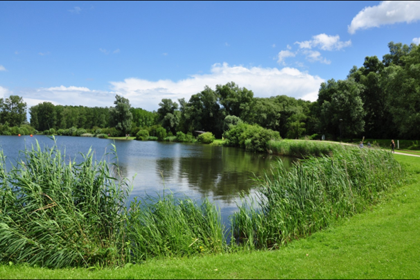 Gaverswandeling op pinkstermaandag