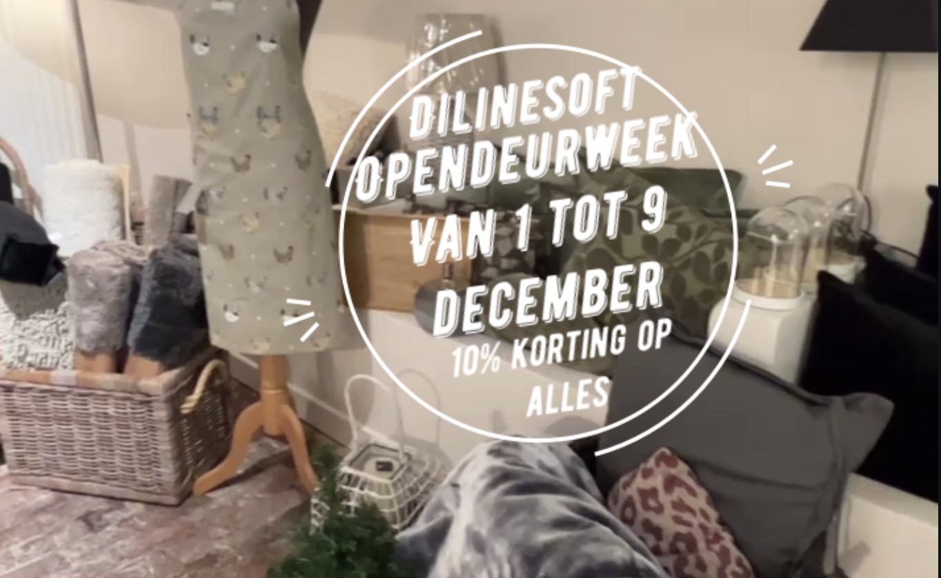 Opendeurweek bij Dilinesoft