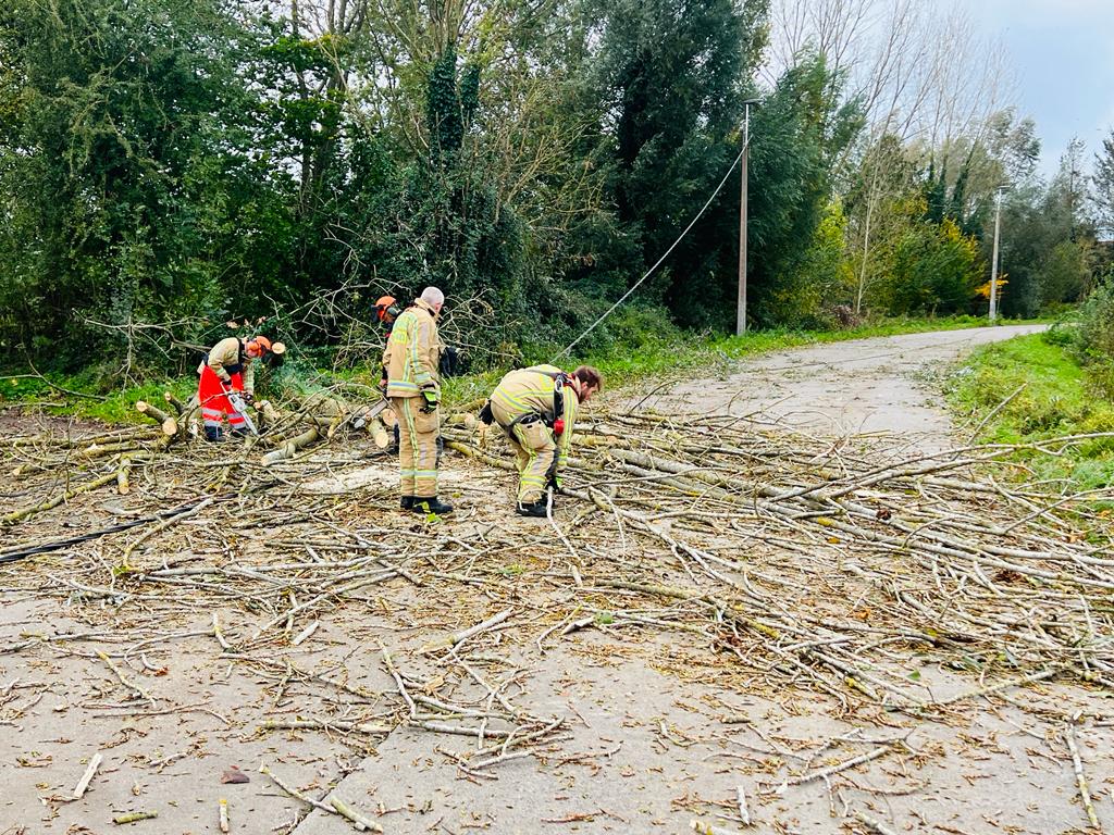Vooral bomen en dakpannen sneuvelen onder hevige windstoten