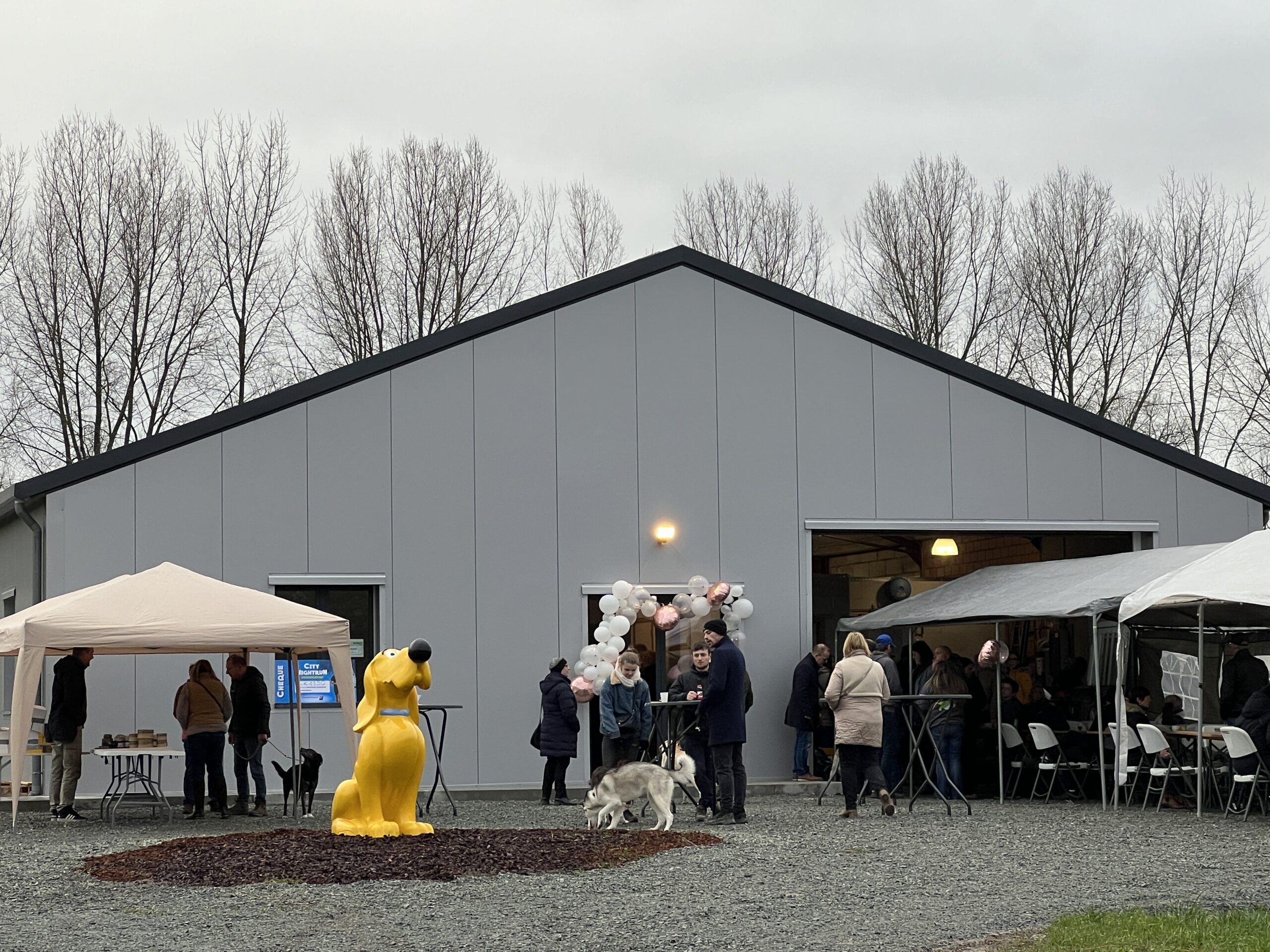 Het nieuwe jaar begint met opening nieuw dierenasiel