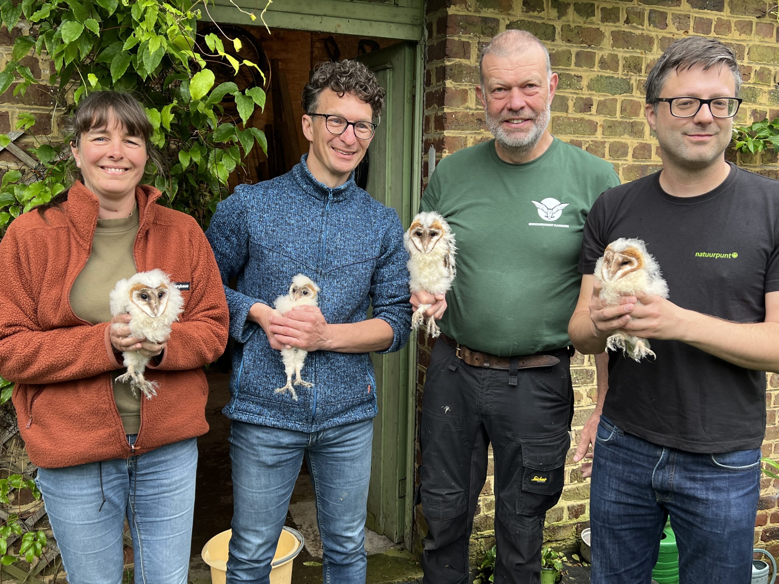 20 nieuwe uilskuikens geringd