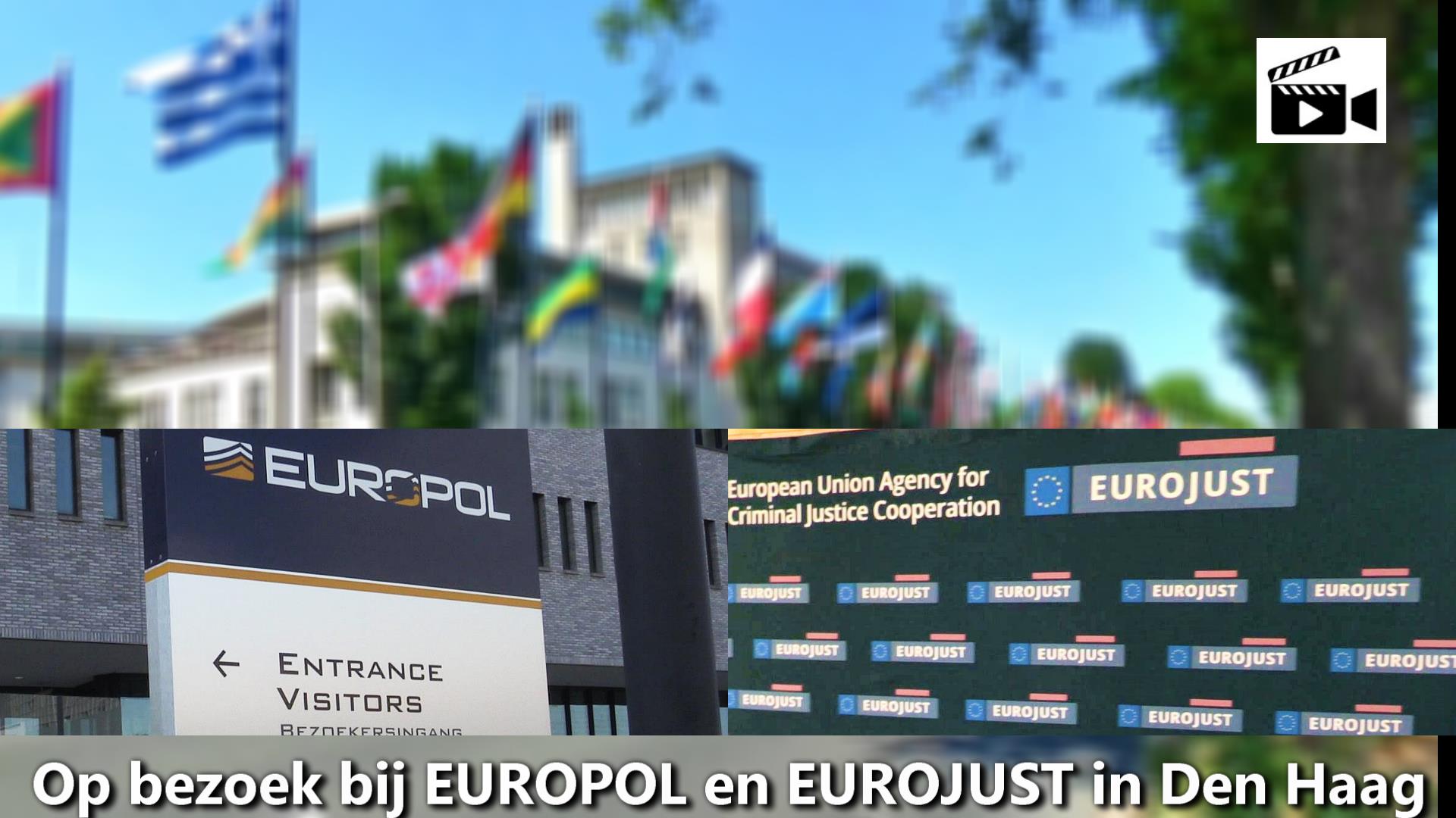 Ninoofse vrouwen bekleden belangrijke functies in Den Haag – Deel 1