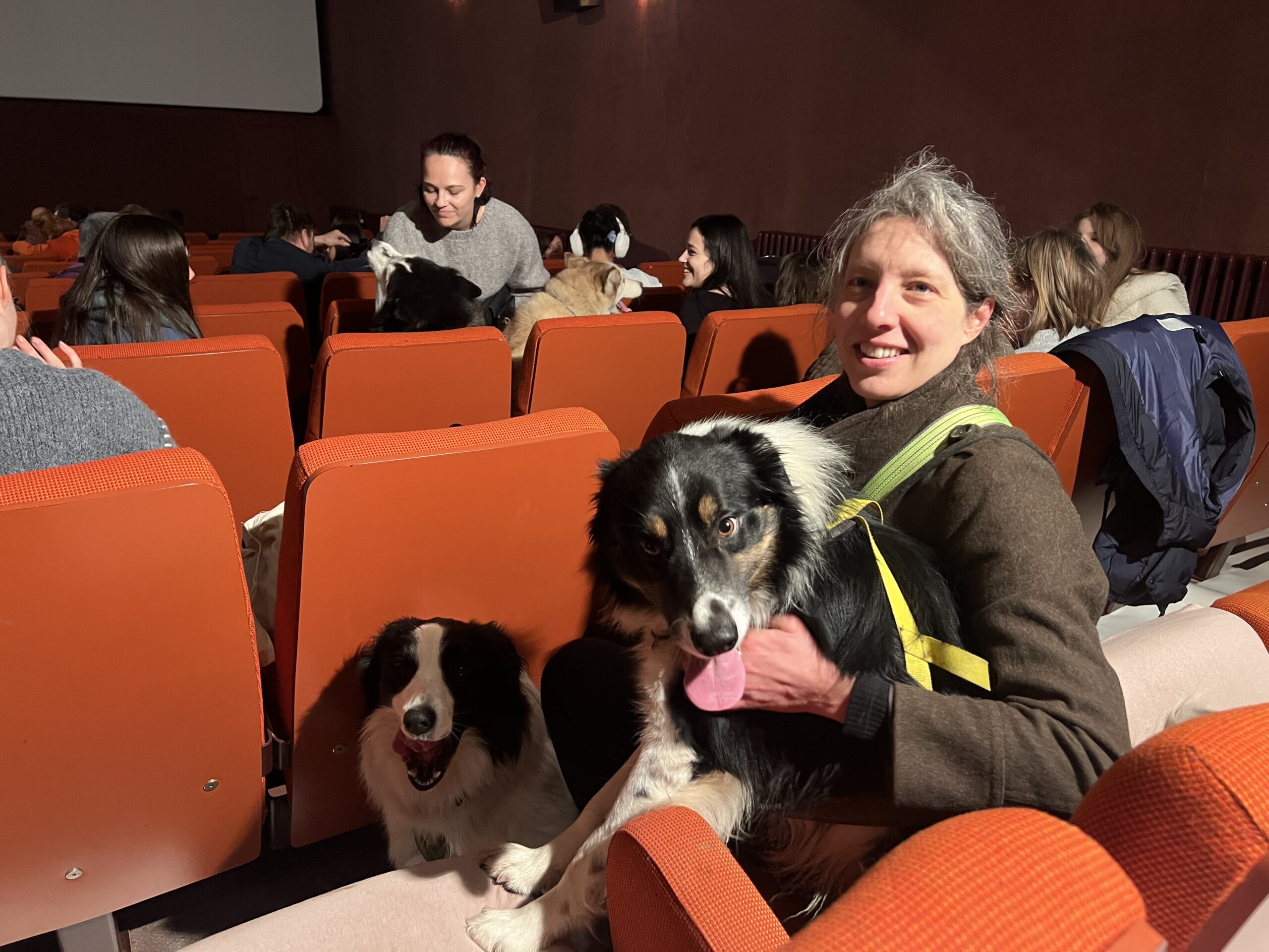 Gezellige hondenfilm lokt baasjes en viervoeters naar Cinema Central