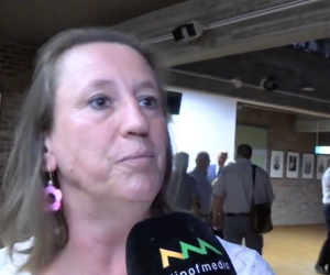 Schieten met een kanon op een mug of succesvolle actie