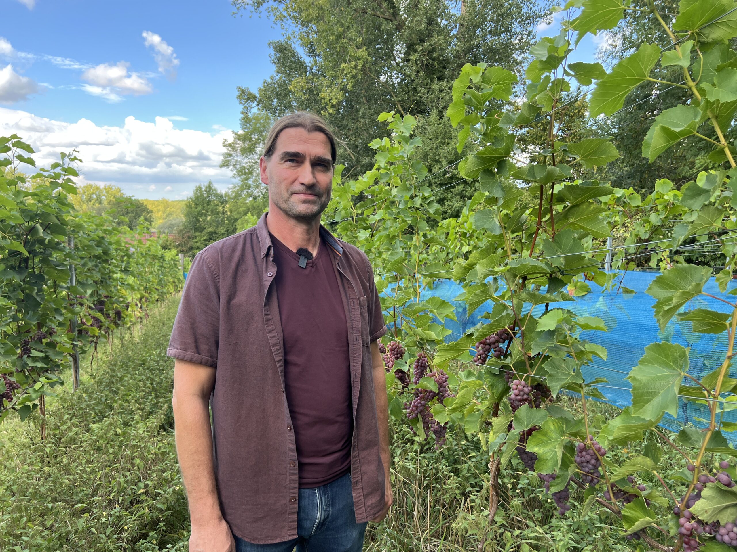 Op verkenning in de wijngaard van Ragnvald