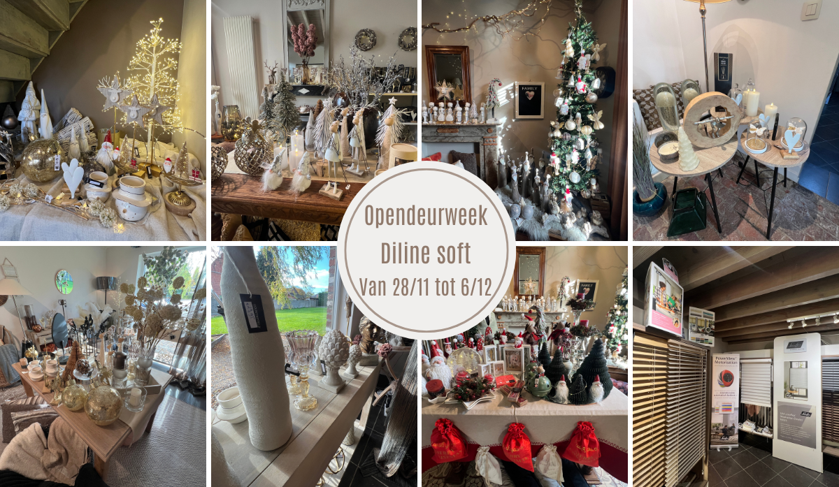 Feestelijke opendeurweek bij Diline Soft