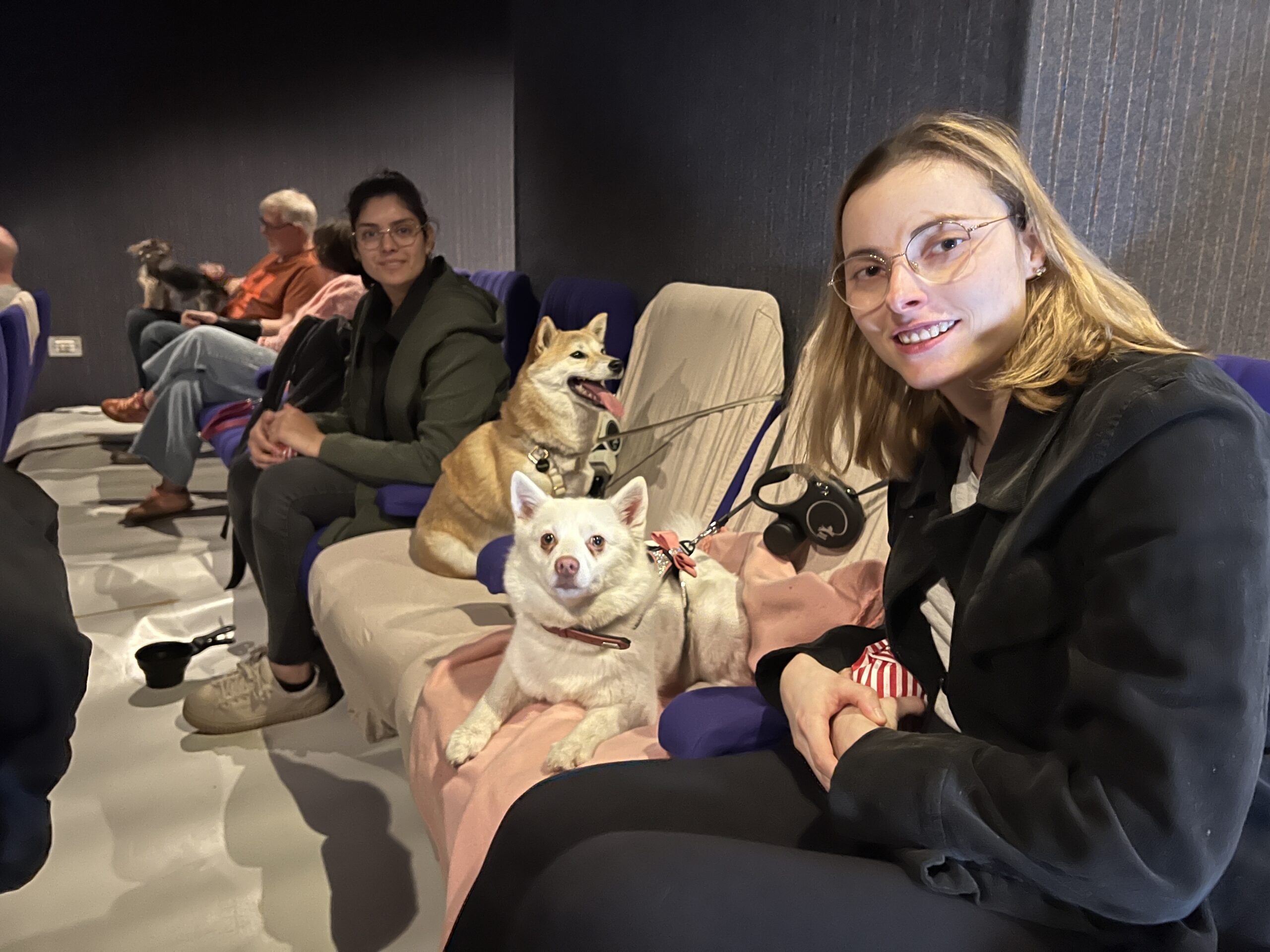 Hondencinema: een unieke ervaring voor dierenliefhebbers